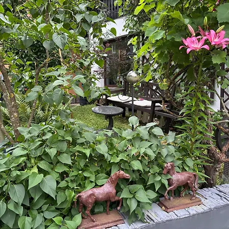 Kleiner Kalle Daire Melsungen