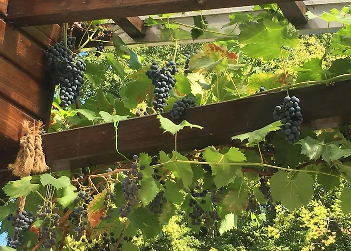 アパート Kleiner Kalle *