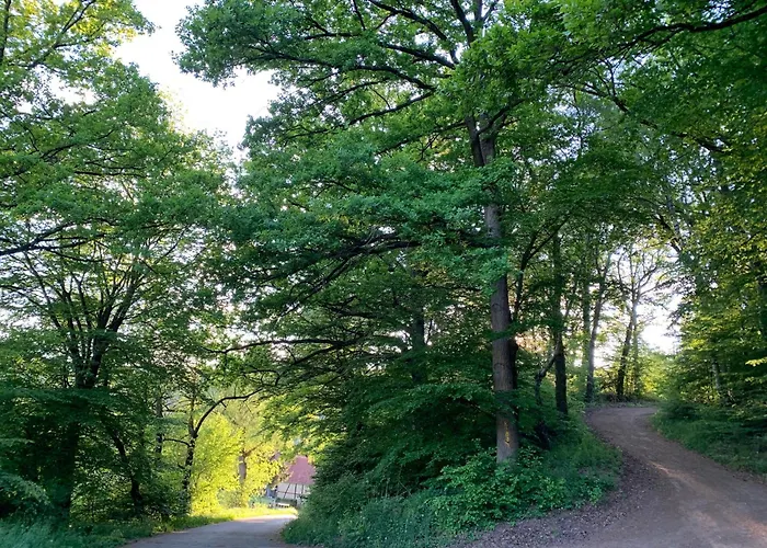 Kleiner Kalle アパート